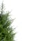 2ft. Unlit Artificial Cedar Pine Petite Arborvitae Tree in Round Pot